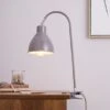 Galley Clip On Task Lamp
