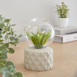 Faux Terrarium Geometric Battery Table Lamp -Dunelm Cheap Lighting Store 30833940 alt01