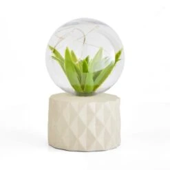 Faux Terrarium Geometric Battery Table Lamp -Dunelm Cheap Lighting Store 30833940 alt05