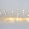 Warm White 20 LED String Lights